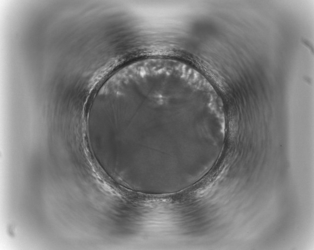 X0000093400721200711020934