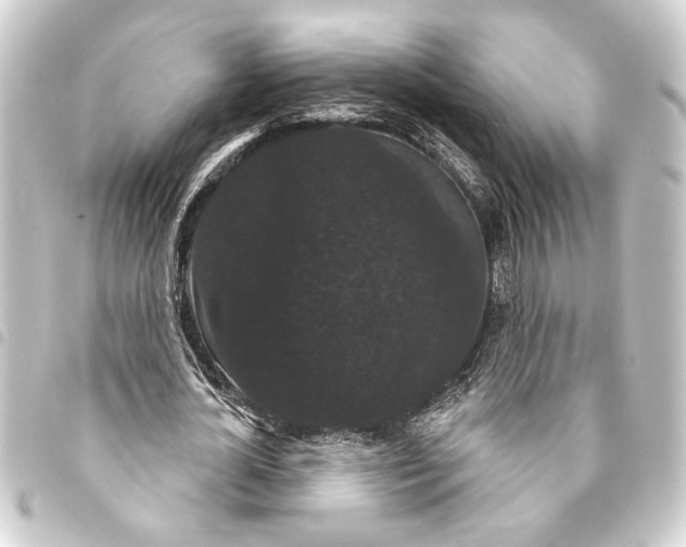 X0000093400724200711020934