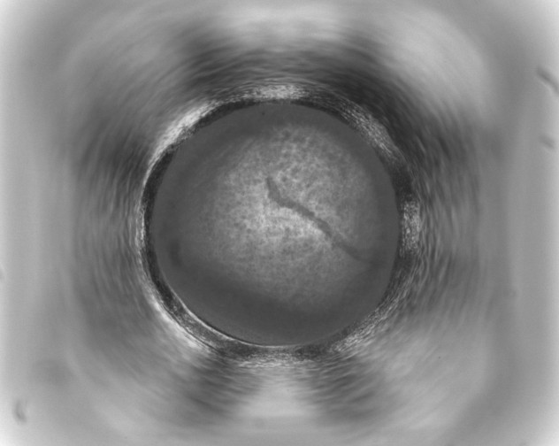 X0000093400726200711020934