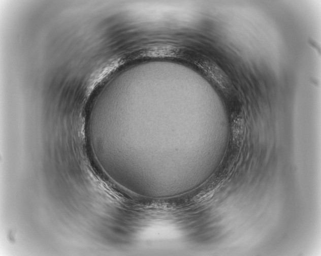 X0000093400727200711020934