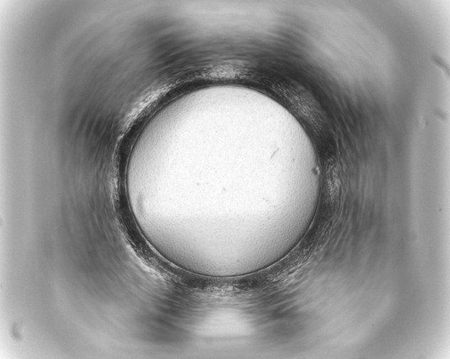 X0000093400728200711020934