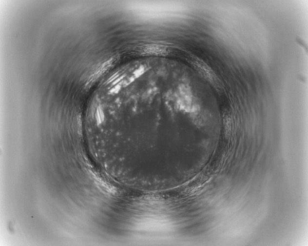 X0000093400729200711020934