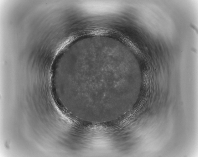 X0000093400730200711020934