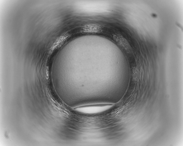 X0000093400731200711020934