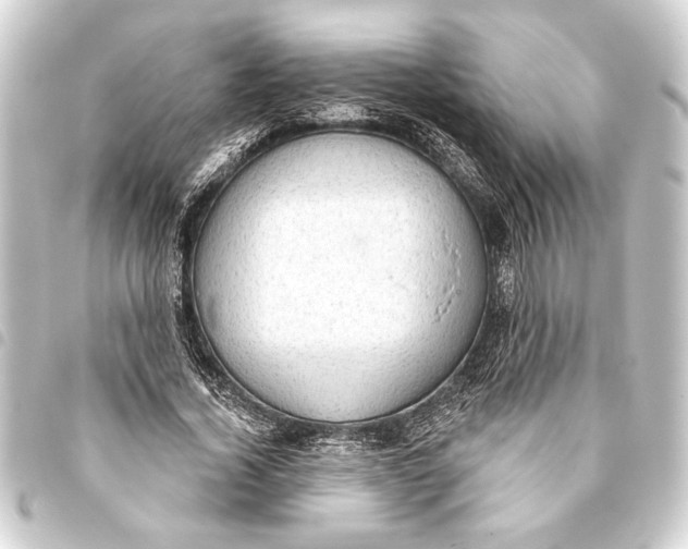 X0000093400732200711020934