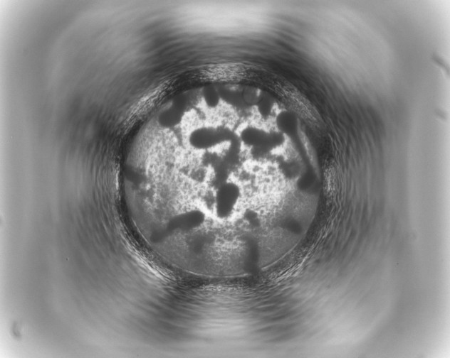 X0000093400733200711020935