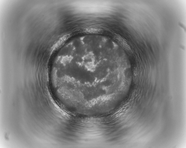 X0000093400734200711020935