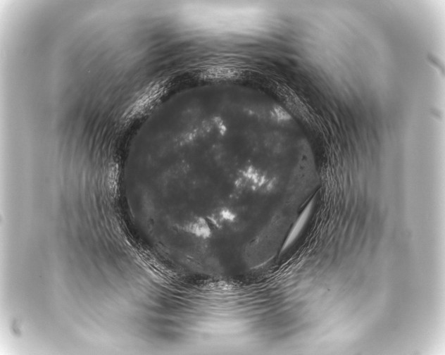 X0000093400735200711020935