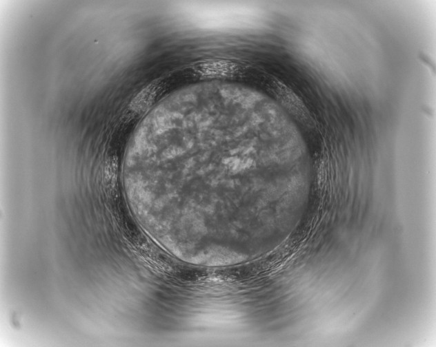 X0000093400737200711020935