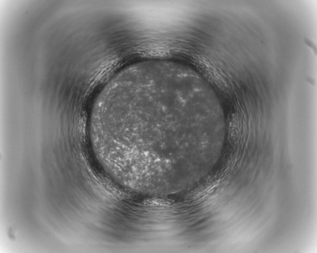 X0000093400739200711020935