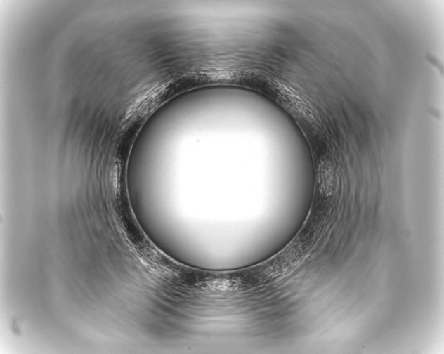 X0000093400740200711020935