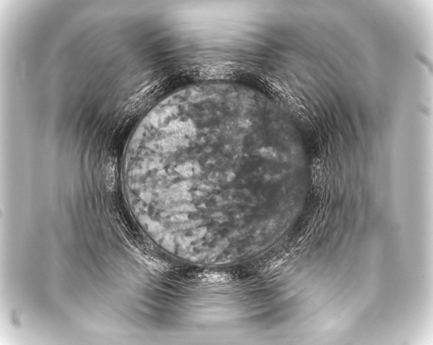 X0000093400741200711020935