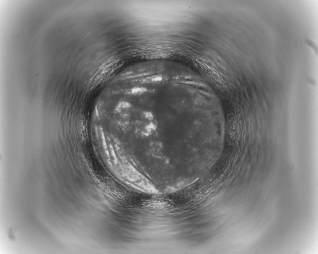 X0000093400743200711020935