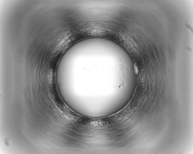 X0000093400744200711020935