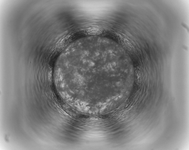 X0000093400745200711020935