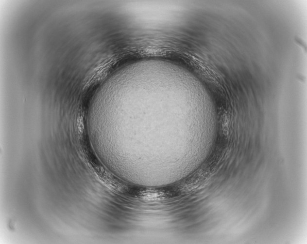 X0000093400746200711020935