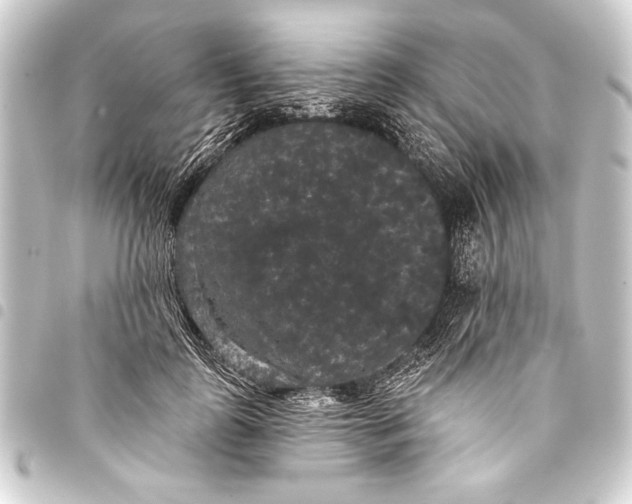 X0000093400747200711020935