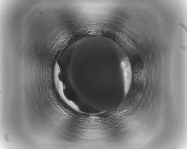 X0000093400748200711020935