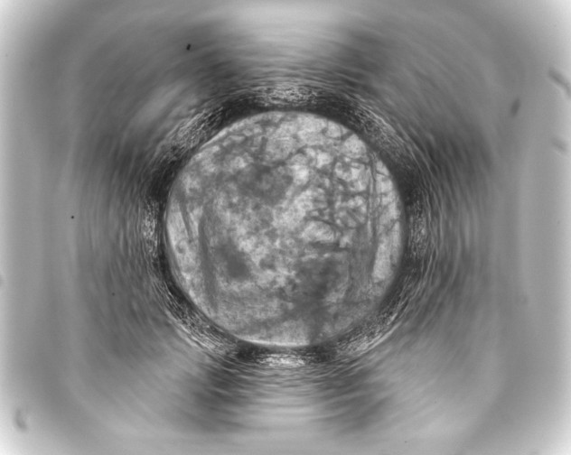 X0000093400749200711020935