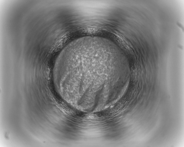 X0000093400750200711020935