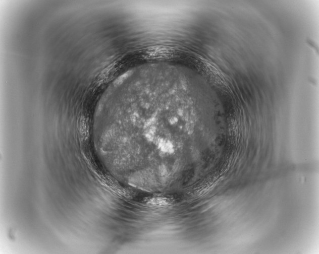 X0000093400751200711020935