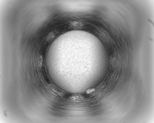 X0000093400752200711020935