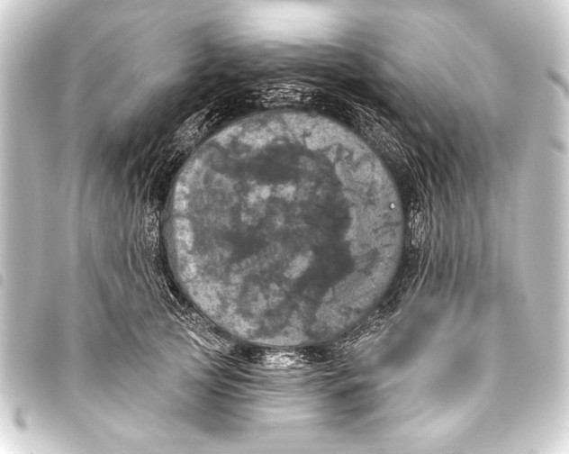 X0000093400753200711020935