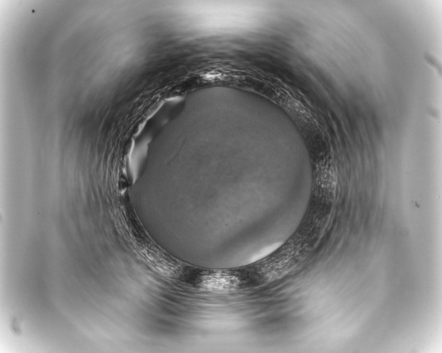 X0000093400754200711020935