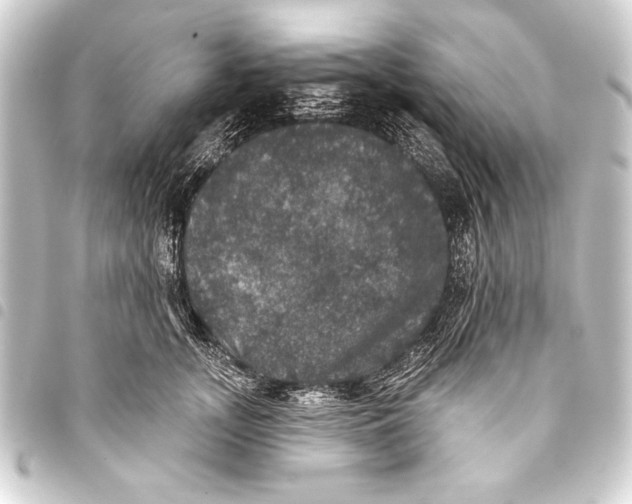 X0000093400755200711020935