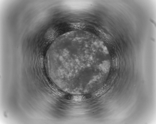 X0000093400757200711020935