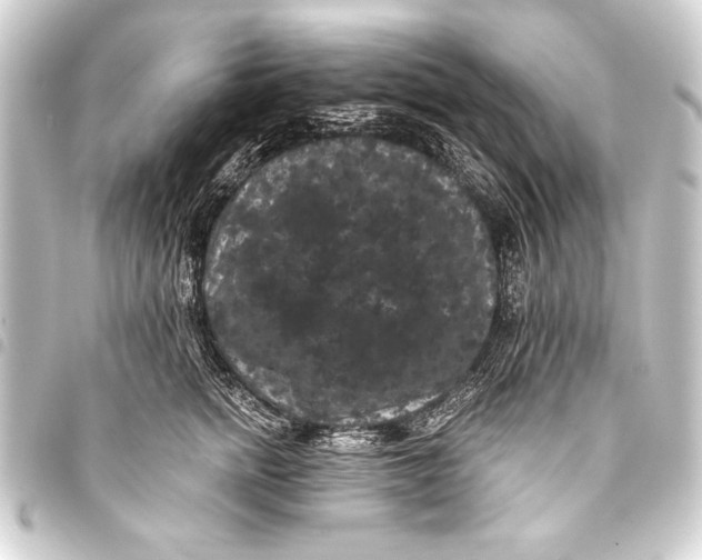 X0000093400758200711020935