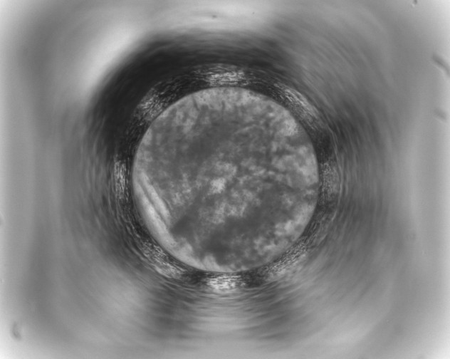 X0000093400761200711020935