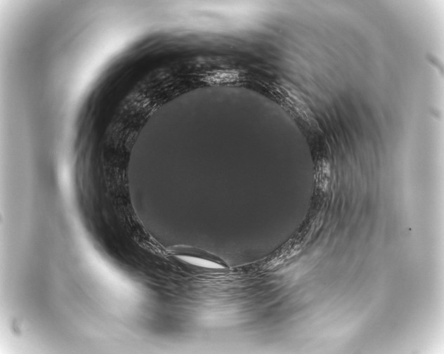 X0000093400763200711020935