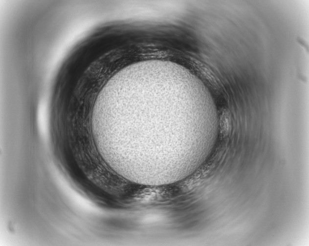 X0000093400764200711020935