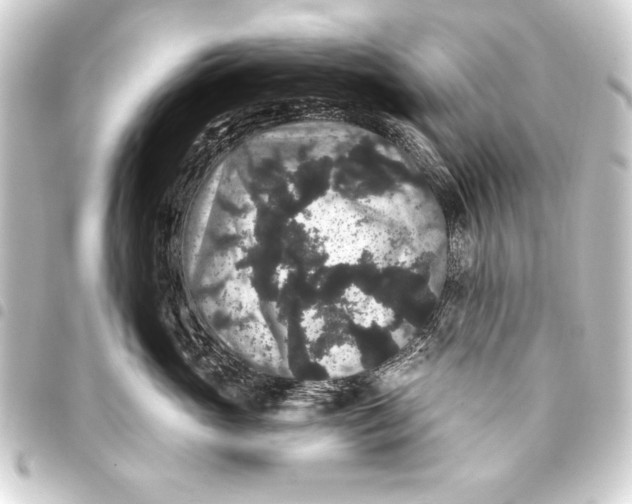 X0000093400765200711020935