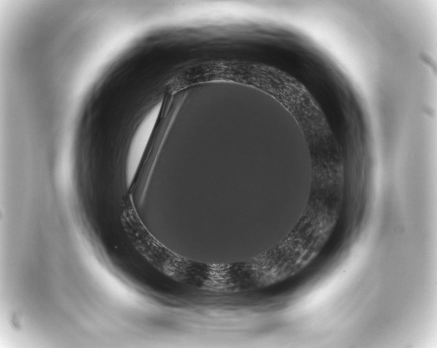 X0000093400766200711020935