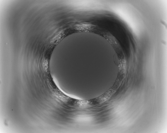 X0000093400767200711020935