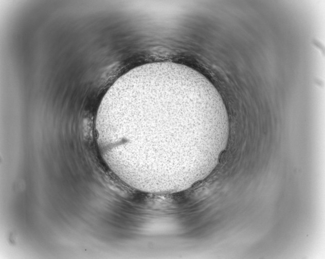 X0000093400768200711020935