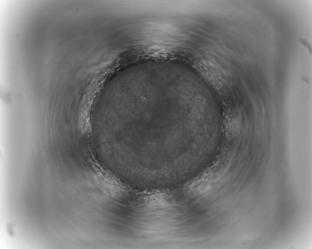 X0000093400769200711020934