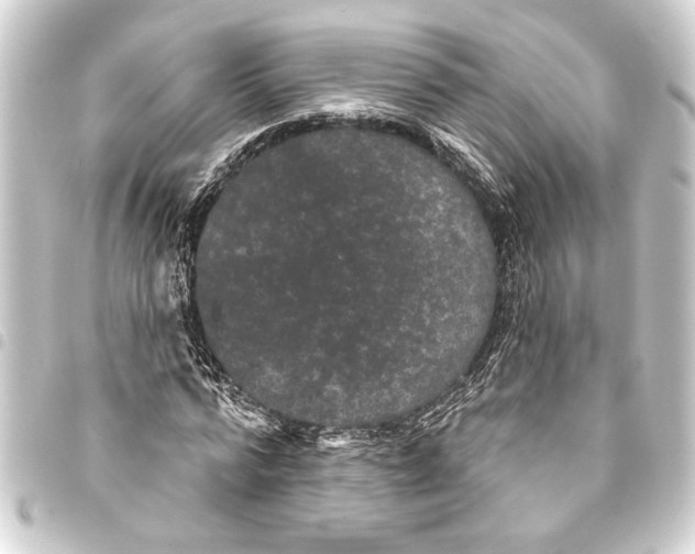 X0000093400776200711020934