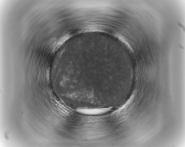 X0000093400777200711020934