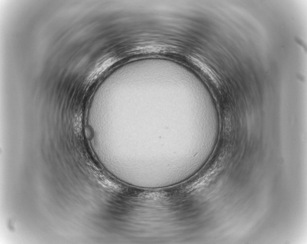 X0000093400778200711020934