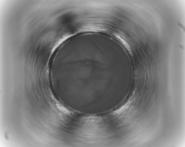 X0000093400779200711020934