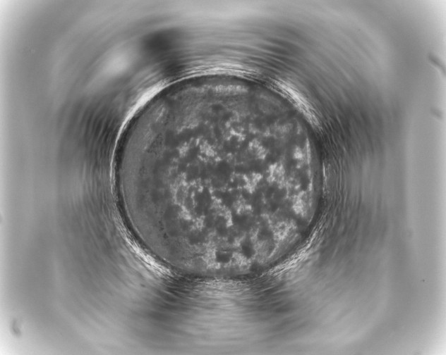 X0000093400780200711020934