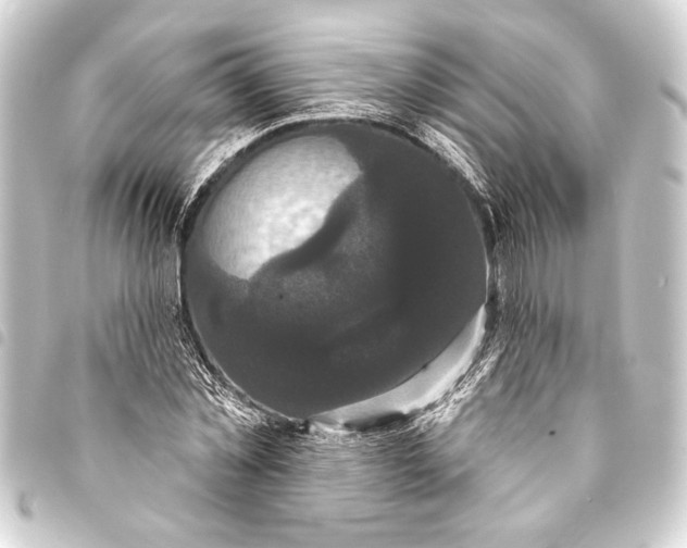 X0000093400781200711020934