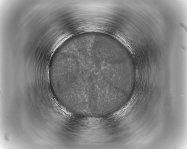 X0000093400782200711020934