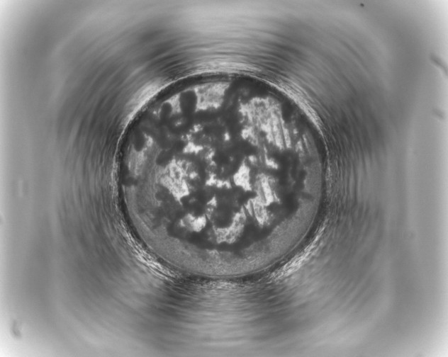 X0000093400783200711020934