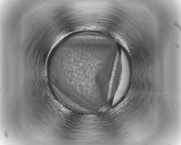 X0000093400784200711020934