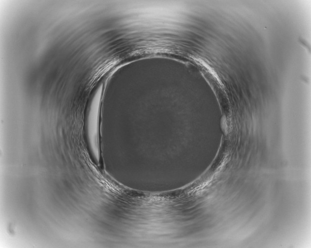 X0000093400785200711020934