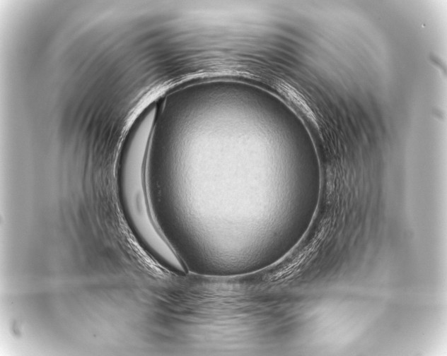 X0000093400789200711020934